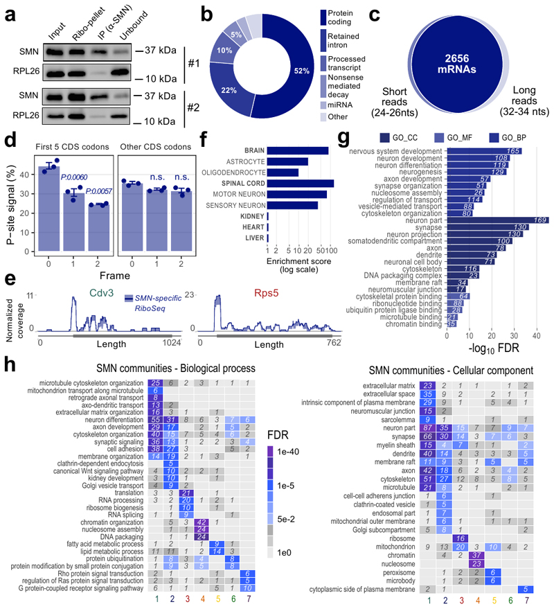 Extended Data Fig. 3