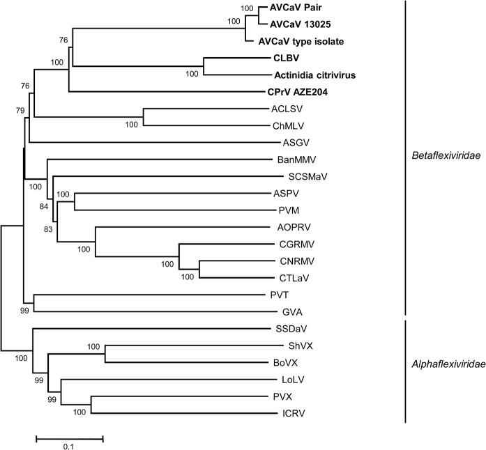 Fig 2