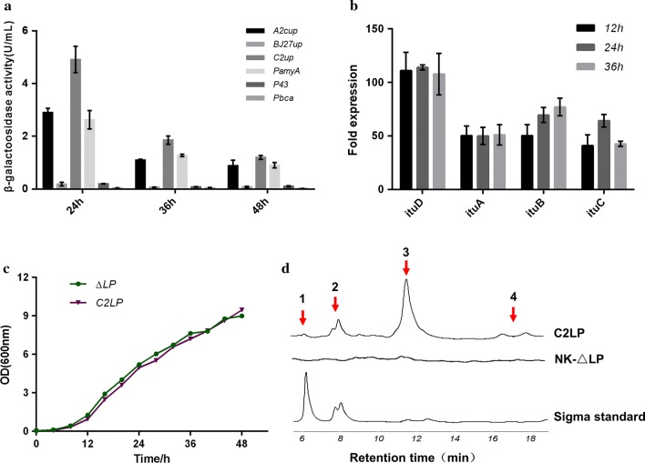 Fig. 1