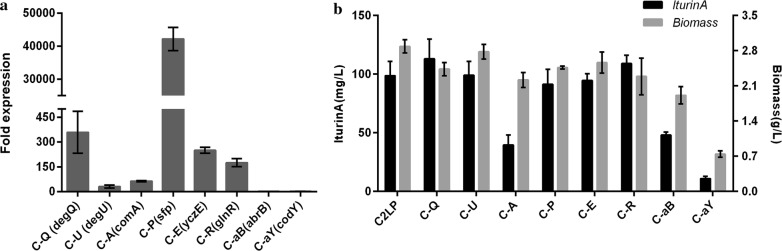 Fig. 6