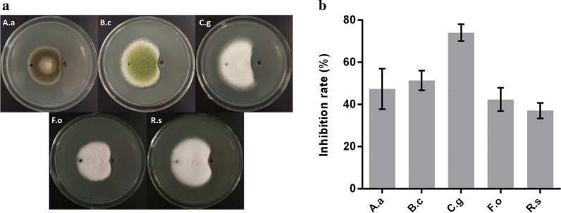 Fig. 3