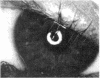 133