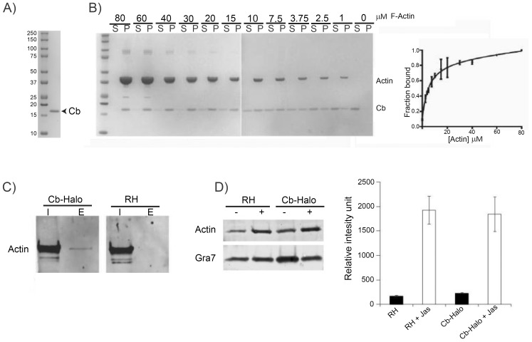 Figure 5.