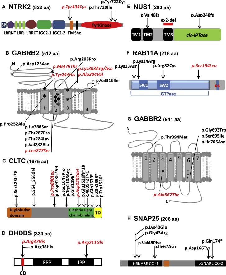 Figure 1