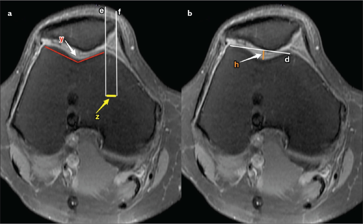 Figure 1. a, b.