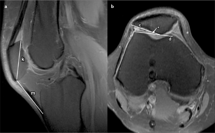 Figure 2. a, b.