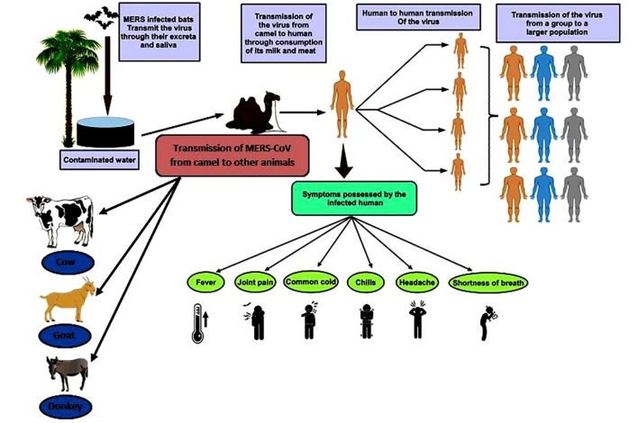 FIGURE 3