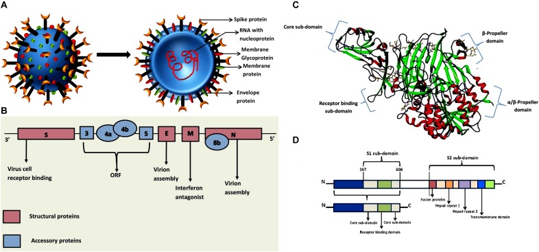 FIGURE 1