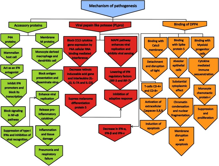 FIGURE 4