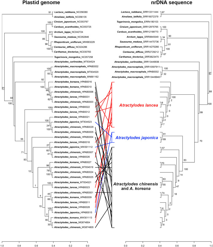 Figure 6