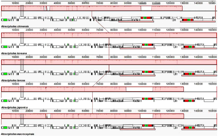 Figure 4