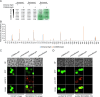 Figure 2—figure supplement 3.