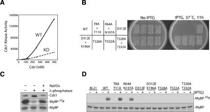 graphic file with name 990fig6.jpg