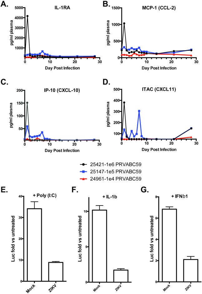 Fig 6