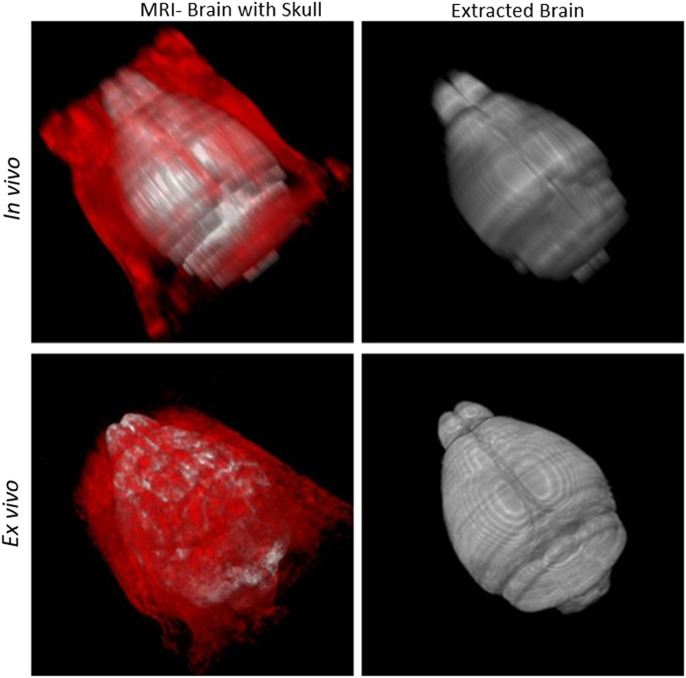 FIGURE 12