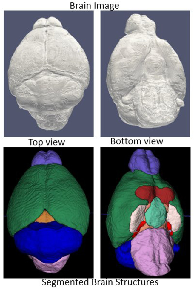 FIGURE 2