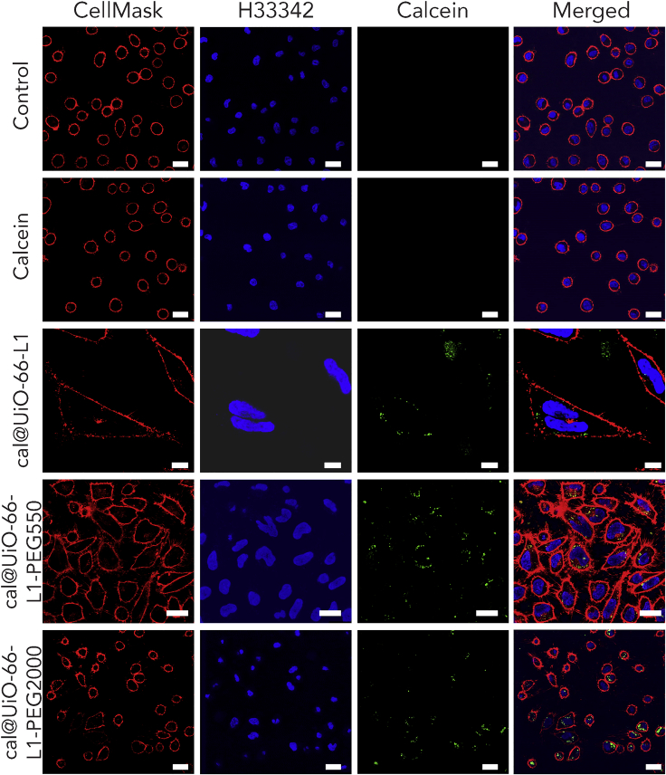 Figure 6