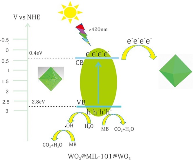 Figure 11