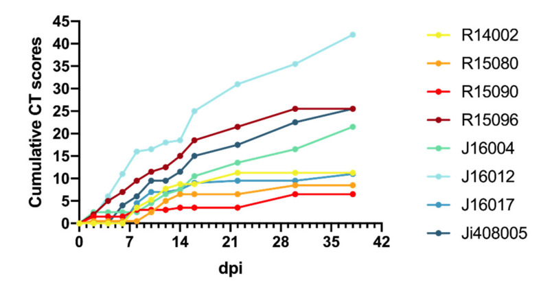 Figure 5