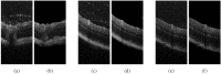 Fig. 10.