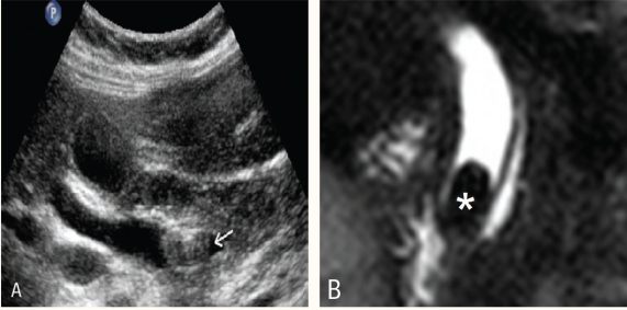 Figure 8 :