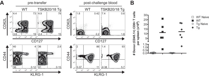 FIG 5