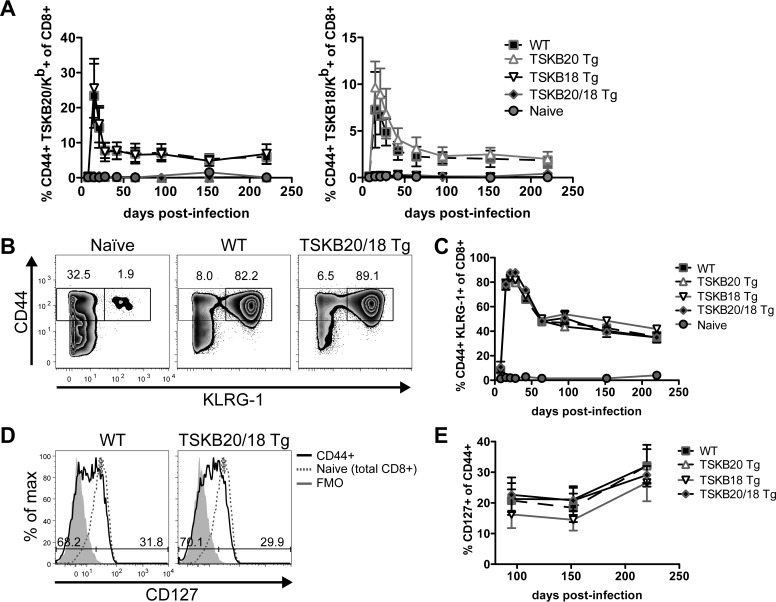 FIG 2