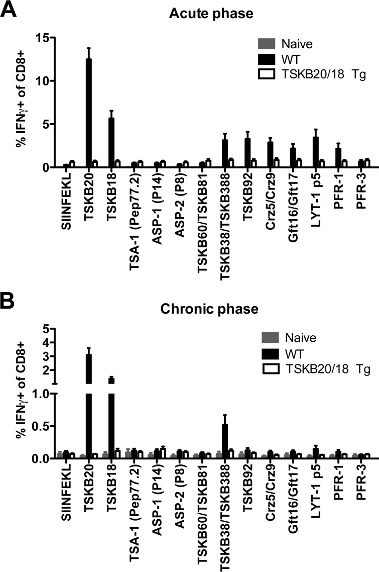 FIG 6