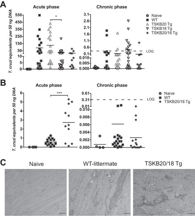 FIG 3