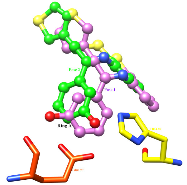 Figure 10