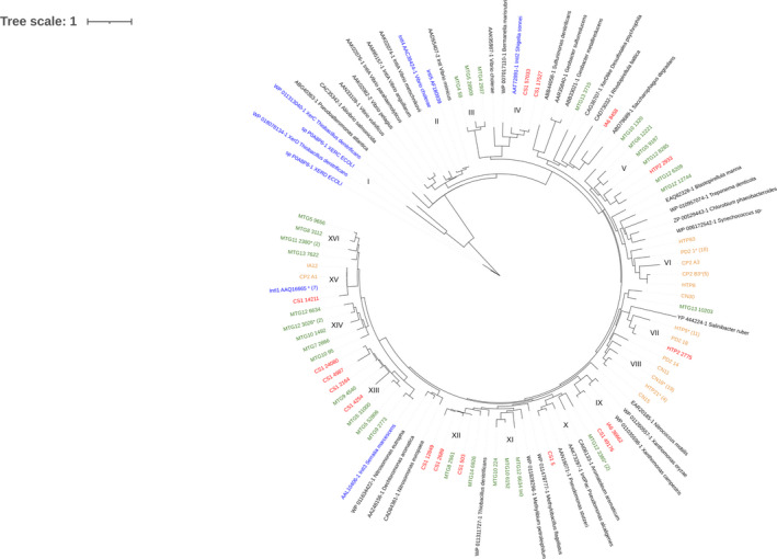 FIGURE 1