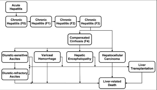 Figure 1)