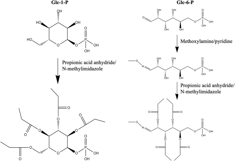 Fig. 1