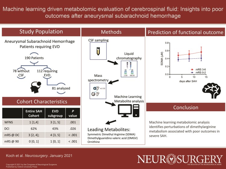 Graphical Abstract