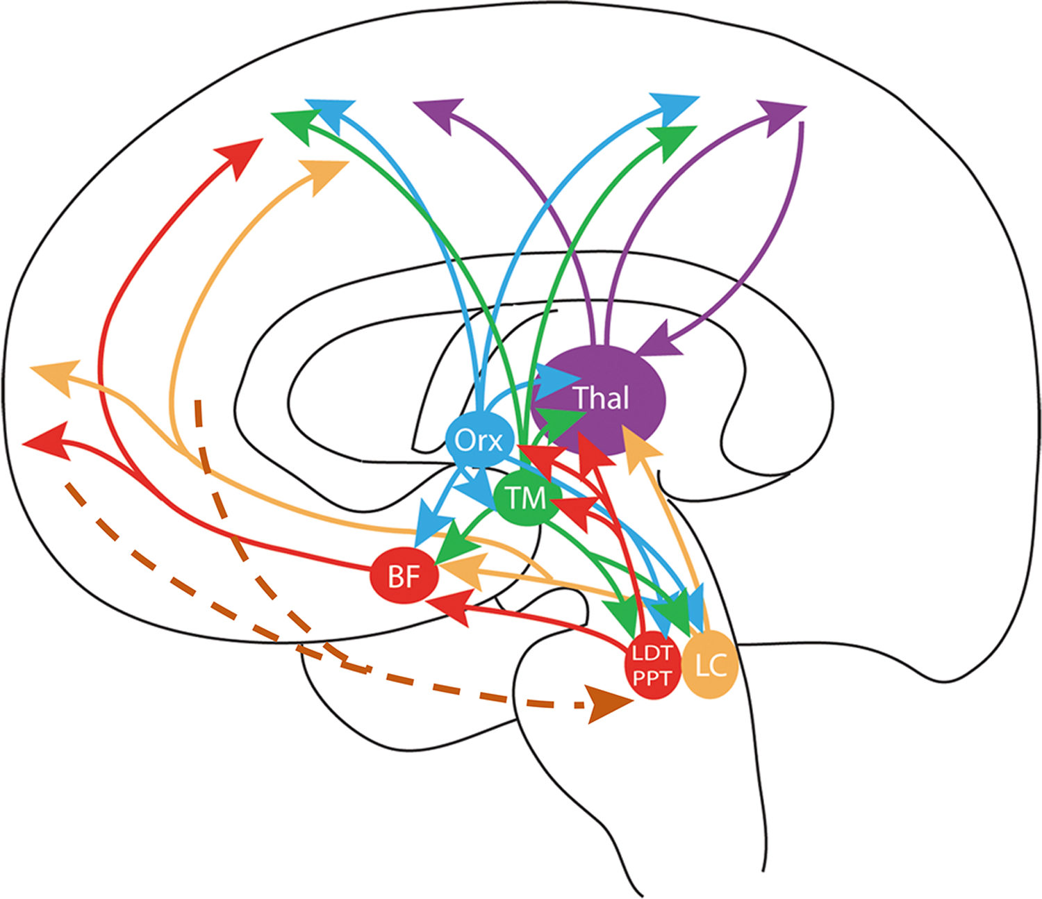 Figure 5.