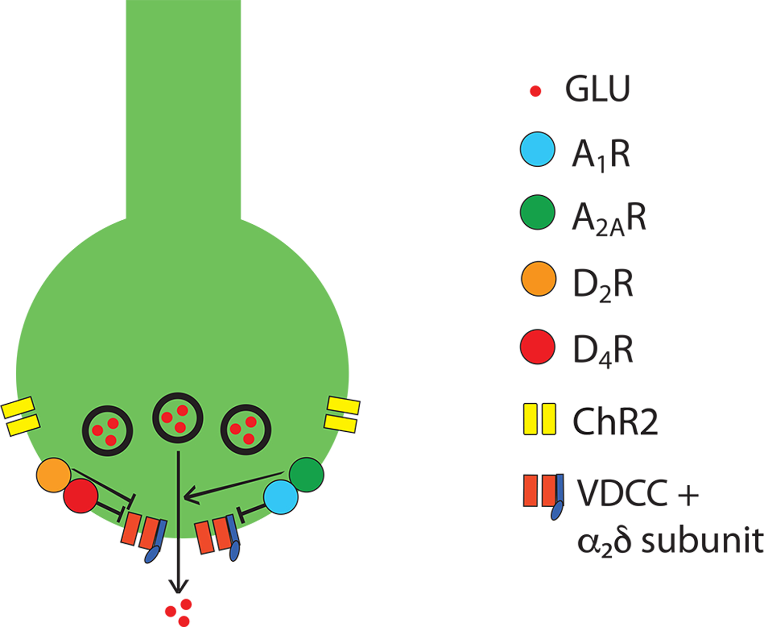 Figure 4.