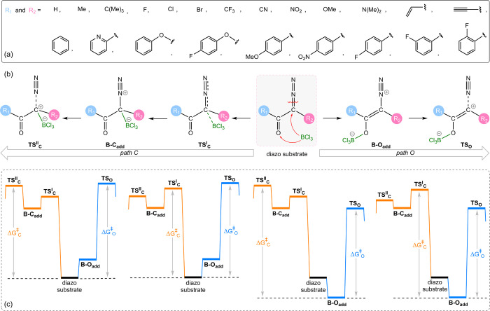 Scheme 4