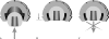 Fig. 4A–C