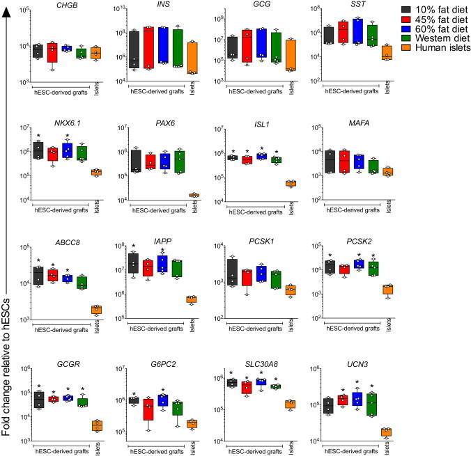 Figure 3