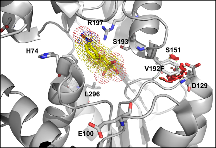 Figure 4