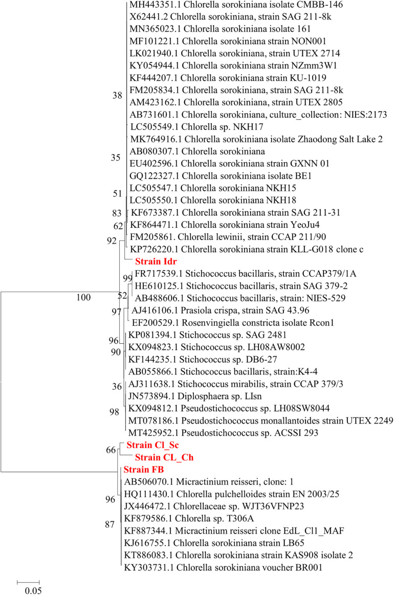 FIGURE 4