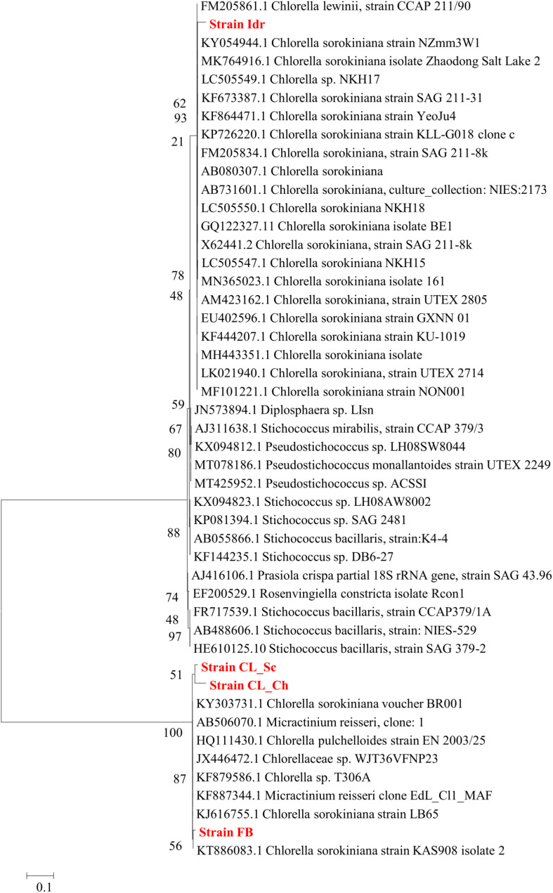 FIGURE 3