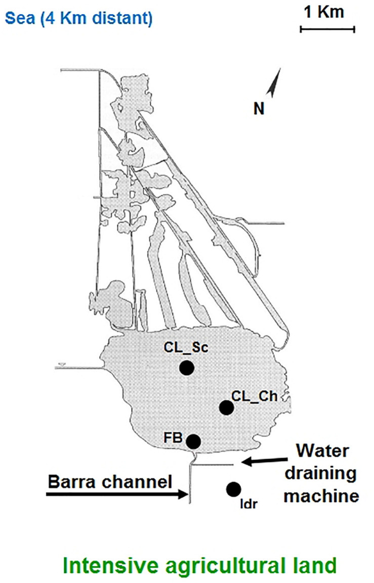 FIGURE 1