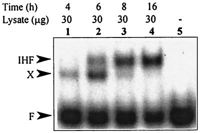 FIG. 7