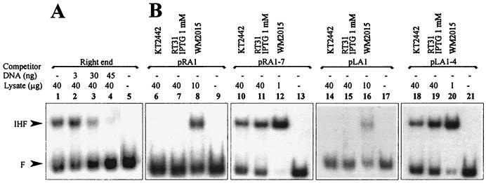 FIG. 5