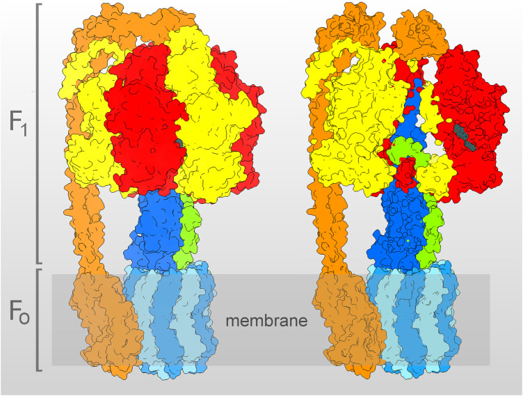 FIGURE 1