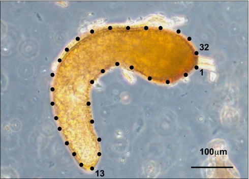 Fig. 1.