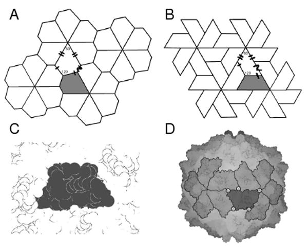 Fig. 5