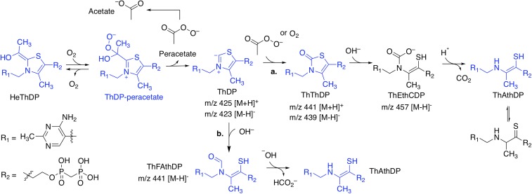 Fig. 3.