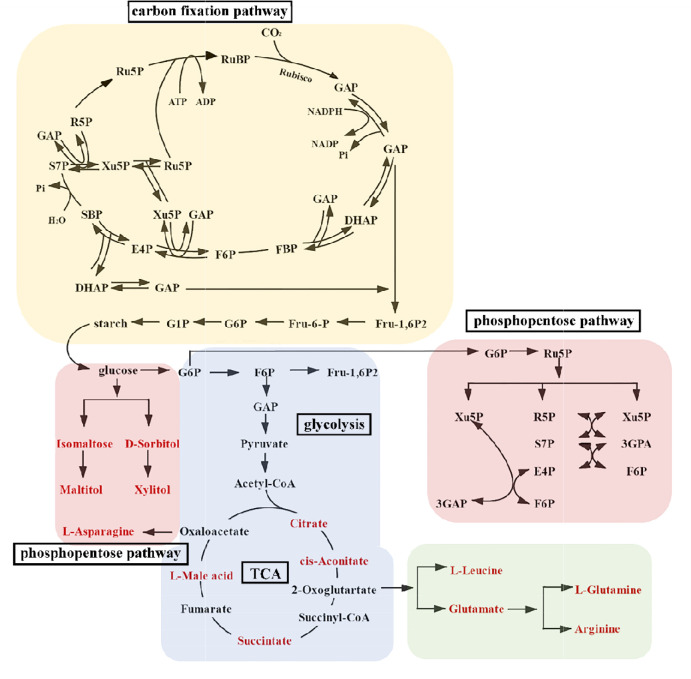 Figure 2